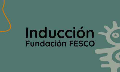 Inducción Fundación Fesco.